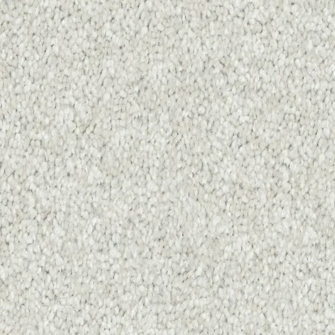 Dove carpet swatch